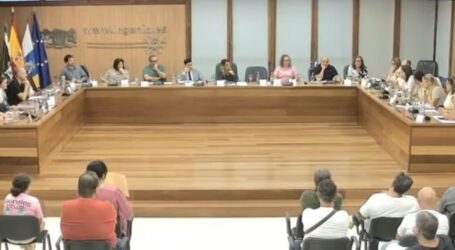 Ingenio aprueba 1,9 millones para desviar el cable eléctrico por el barranco de El Carrizal