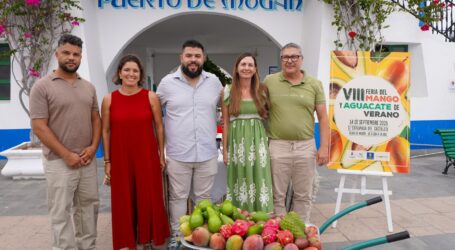 Mogán celebra la VIII Feria del Mango y el Aguacate con 5.000 kilos de fruta local