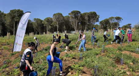 Fundación Foresta y TUI Care Foundation reforestan Monte Pavón con más de 3.000 árboles