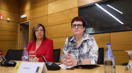 Canarias completa 300 expedientes de menores y exige al Estado agilizar derivaciones