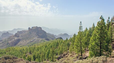 Altas temperaturas y viento en Canarias: el sur de Gran Canaria alcanza los 36 grados este lunes