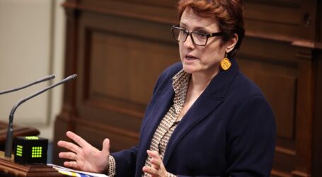 Candelaria Delgado acusa al Estado de bloquear los traslados de menores con protección internacional