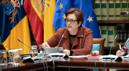 Canarias implanta la teleasistencia avanzada para mejorar la atención a mayores y dependientes
