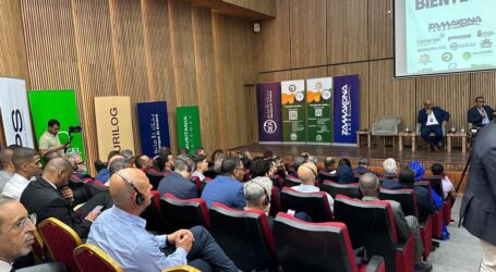 Canarias refuerza su papel como socio estratégico de Mauritania en energía y desarrollo marítimo