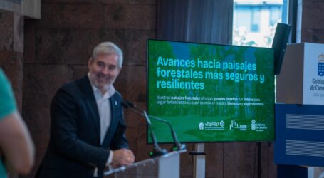 Clavijo destaca que el céntimo forestal garantiza financiación estable para luchar contra el cambio climático en Canarias