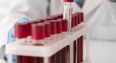 Qué son las enfermedades de la sangre y cómo afectan a la salud