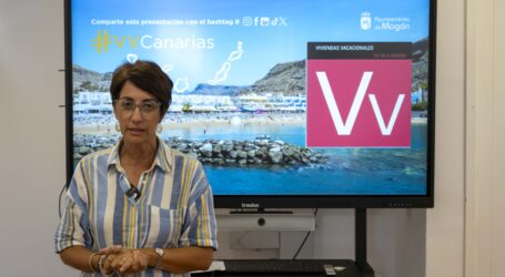 El vacío normativo de la Ley de Vivienda Vacacional provoca desigualdad entre municipios canarios
