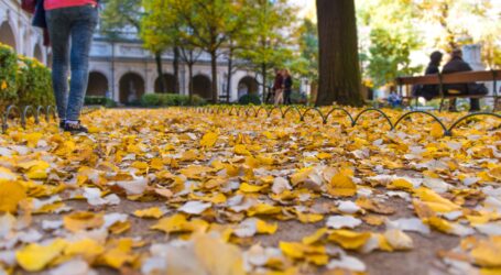 El tiempo cambia en el sur de Gran Canaria: descenso de temperaturas y lluvias a partir del jueves