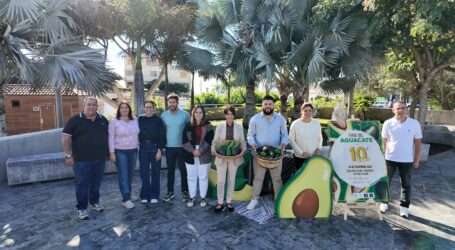 Mogán celebra el X aniversario de la Feria del Aguacate con homenaje y 5.000 kilos de producto local
