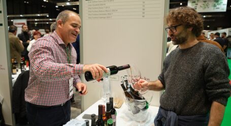 Nueve bodegas canarias destacan en el Salón de los Mejores Vinos de España