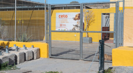 San Bartolomé de Tirajana cede 10.000 m² para un albergue comarcal de animales