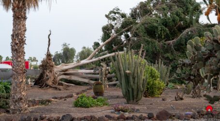 San Bartolomé de Tirajana activa el Plan de Emergencias Municipal y suspende actividades al aire libre por alerta meteorológica