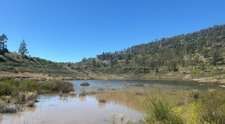 Drago Canarias pide revisar el modelo hídrico en Gran Canaria tras las lluvias y cuestiona el crecimiento turístico