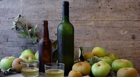 Productores de sidra natural de Gran Canaria viajan a Madeira para impulsar la IGP canaria con el proyecto Raíces Atlánticas