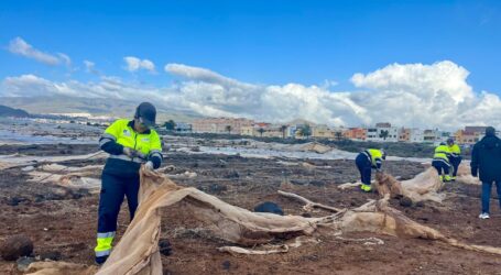 El Cabildo destina 1,5 millones a limpiar el entorno del Aeropuerto de Gran Canaria