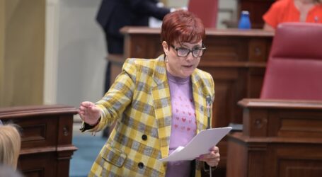 Canarias defiende la labor de los centros de menores para la reinserción social