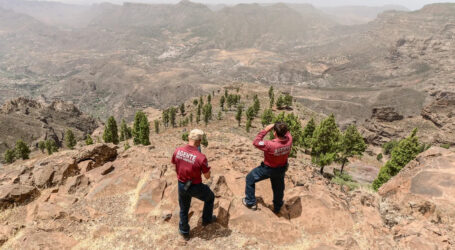 Gran Canaria finaliza la alerta por riesgo de incendios forestales y mantiene la prealerta