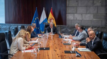 Canarias pedirá al Estado que asuma el triaje de migrantes y la representación de menores