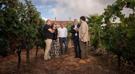 Canarias apuesta por el enoturismo para impulsar el vino y diferenciar su oferta turística