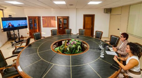 Canarias investiga cómo anticipar el riesgo de violencia de género y detectar fallos en la atención