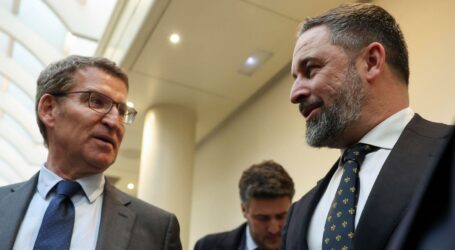 PP y Vox: ¿quién representa a Canarias en el Senado?